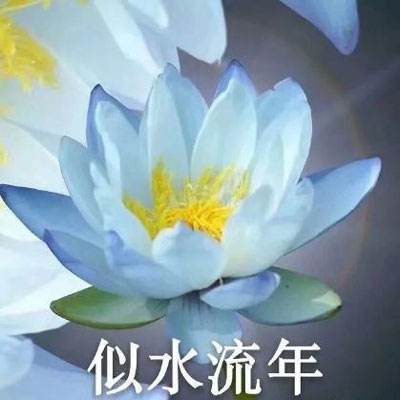 铁齿铜牙官方版(暂未上线)v1.0.9 安卓最新版