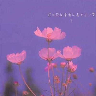 山海月中歌公益服下载
