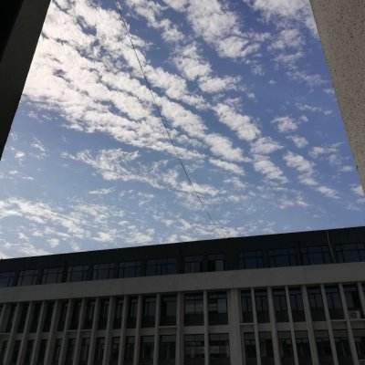 圣墟迷仙手游变态版下载